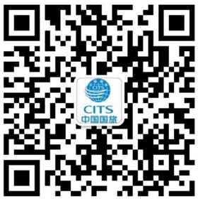 新疆云景網絡科技有限公司